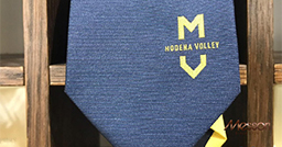 Messori veste il Modena Volley